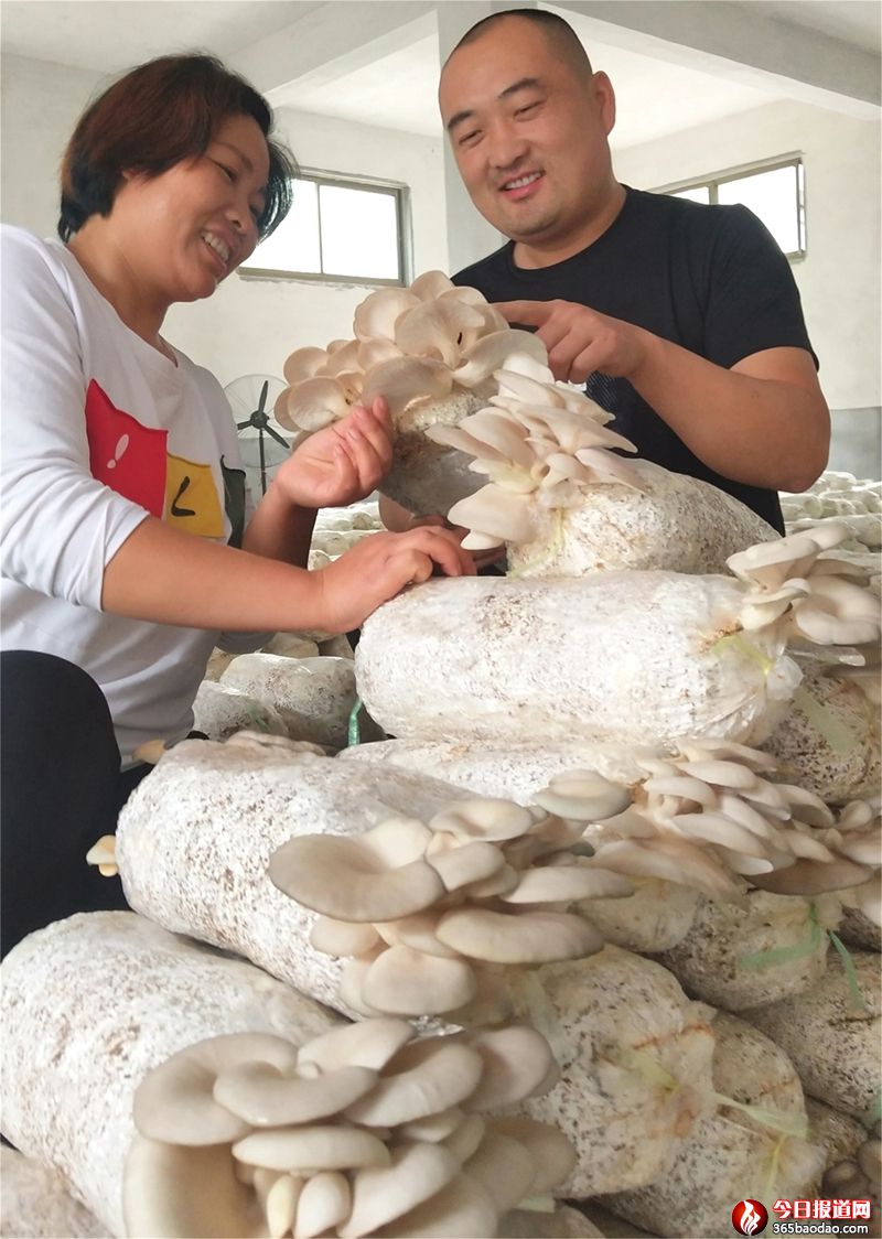 種植蘑菇.jpg