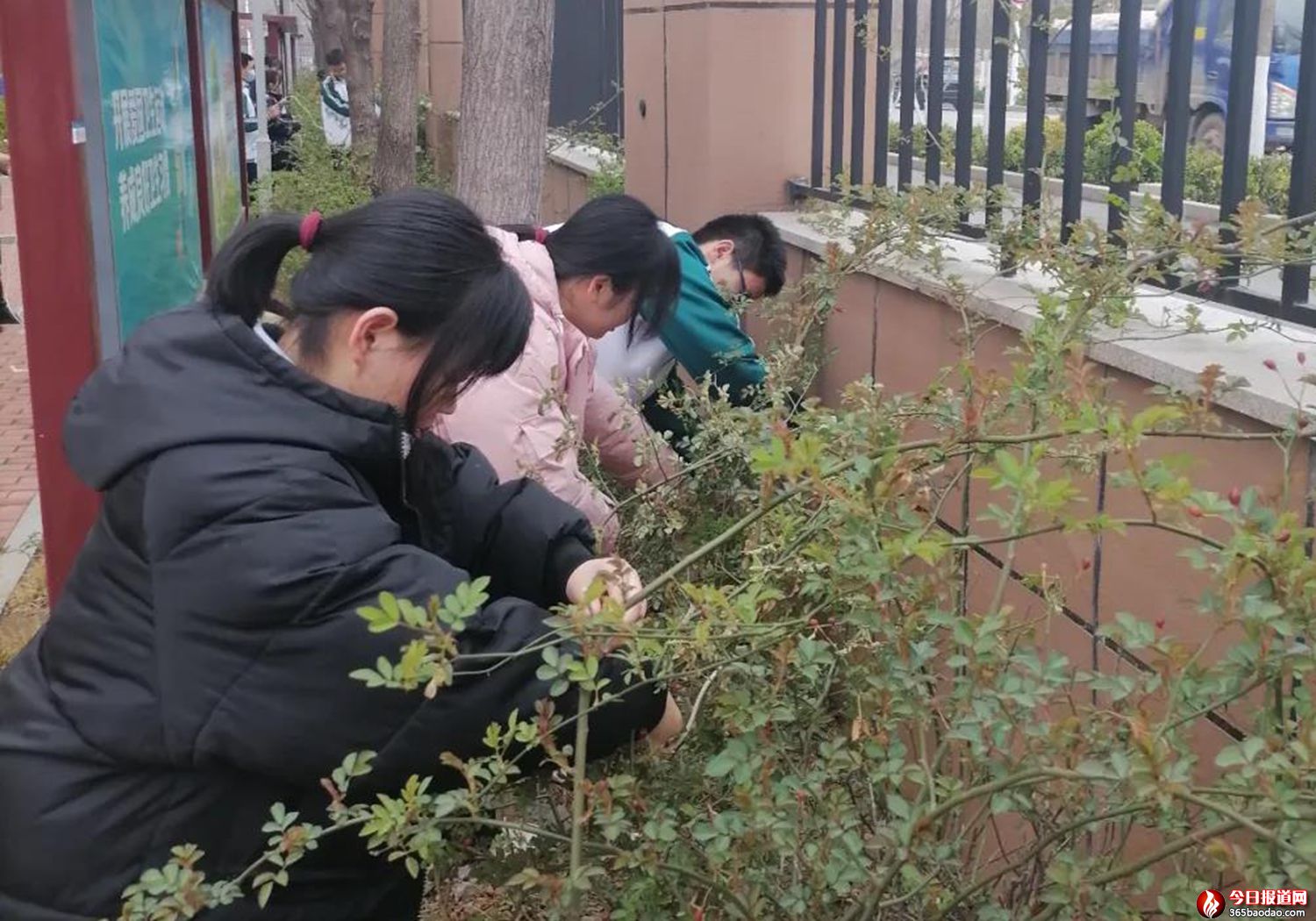 微信圖片_20210329060849.jpg